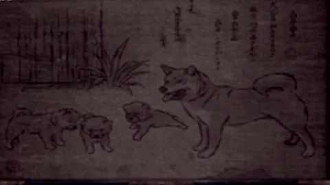 Stage 13 warehouse: the painting of four dogs