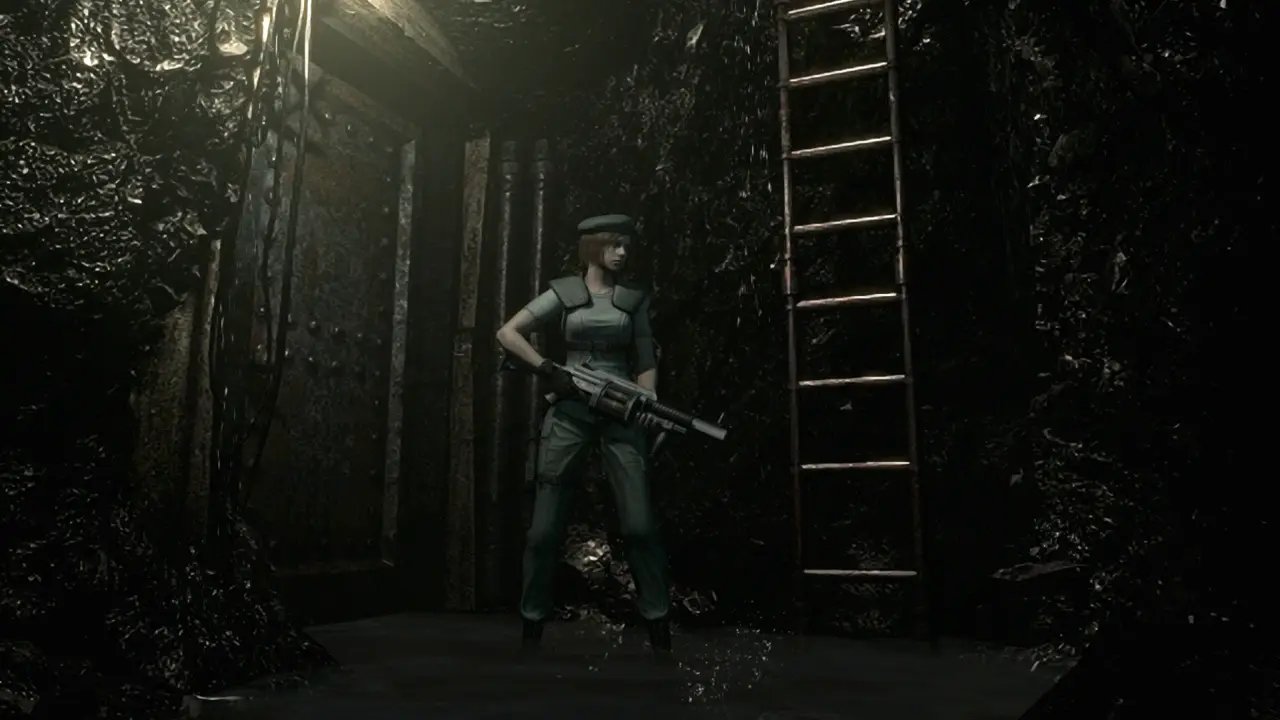 Ladder down into the caverns