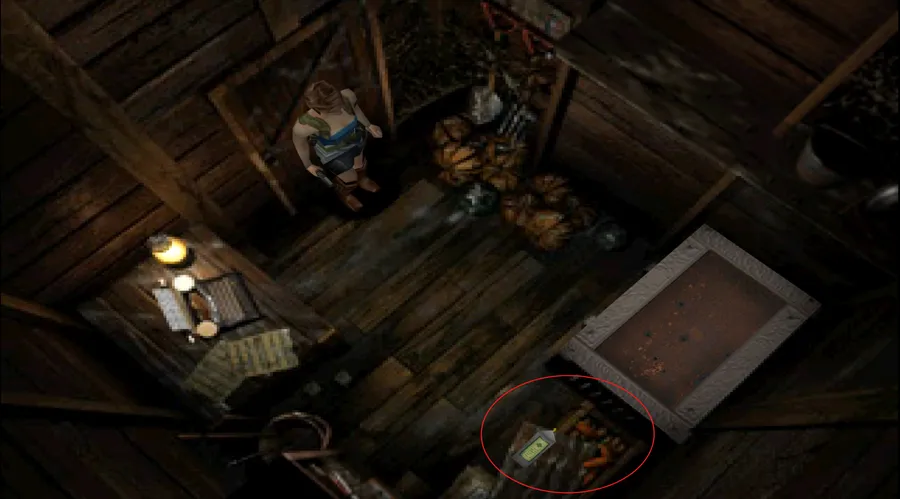 Resident Evil 3 Nemesis &mdash; Raccoon Park step 15